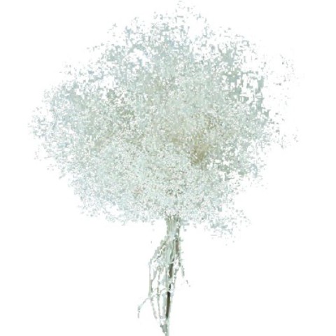 GYPSY MINI BIANCA STABIL.WHITE